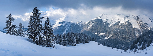 Morzine Ski Area, snowy winter mountain landscape, Port du Soleil, Auvergne Rhone Alpes, French Alps, France, Europe