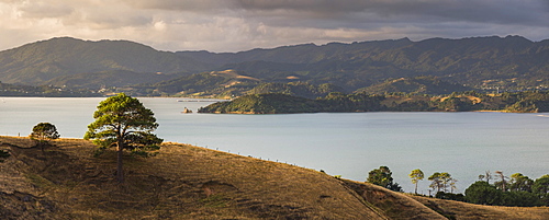 Countryside at Coromandel Town, Coromandel Peninsula, North Island, New Zealand, Pacific