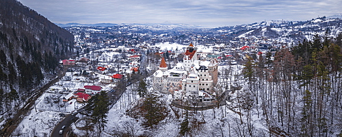 Bran Castle covered in snow in winter, Transylvania, Romania, Europe