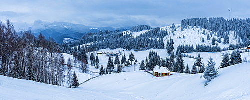 Winter landscape near Bran in the Carpathian Mountains, Transylvania, Romania, Europe