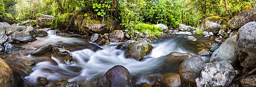 Savegre River (Rio Savegre), San Gerardo de Dota, San Jose Province, Costa Rica, Central America