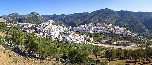 Elevated view over the historic hilltop town of Moulay Idriss, Morocco, North Africa, Africa