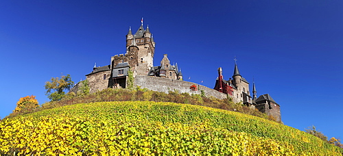 Reichsburg Castle and vineyards in autumn, Cochem, Moselle Valley, Rhineland-Palatinate, Germany, Europe