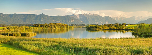 View over Riegsee Lake to Zugspitze and Wettersteingebirge Mountains, Upper Bavaria, Bavaria, Germany, Europe