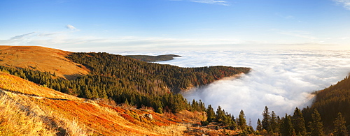 Early morning fog at sunrise in autumn, Feldberg mountain, Black Forest, Baden Wurttemberg, Germany, Europe