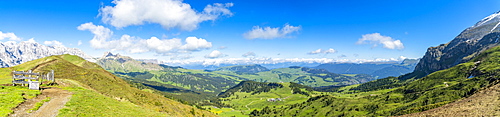 Panoramic of green meadows of Alpe di Siusi (Seiser Alm) in summer, Dolomites, South Tyrol, Italy, Europe