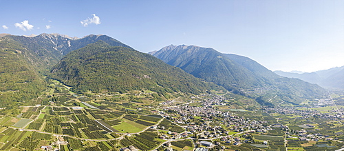 Aerial panoramic of apple orchards in between rural villages and mountains, Valtellina, Sondrio province, Lombardy, Italy, Europe