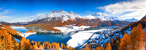 Orange colored larch trees in autumn in the snowcapped mountains nearby lake Champfer and Silvaplana, Engadine, Graubunden, Switzerland, Europe