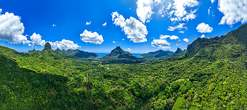 Moorea (Mo'orea), Society Islands, French Polynesia, South Pacific, Pacific