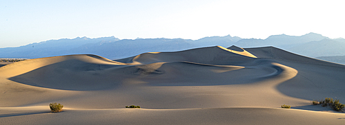 Mesquite flat sand dunes in Death Valley National Park, California, United States of America, North America