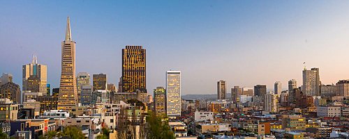 View of the city and Transamerica Pyramid from Coit tower San Francisco, California, United States