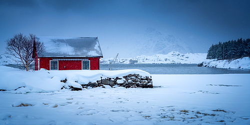 Traditional Rorbu on a snowy winter's day, Lofoten Islands, Nordland, Norway, Europe