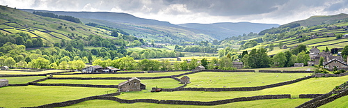 Dales out barns and dry stone walls at Gunnerside in Swaledale, The Yorkshire Dales National Park, Yorkshire, England, United Kingdom, Europe