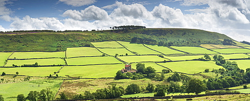 Green fields and heather clad moorland at Little Fryup Dale near Danby, The North Yorkshire Moors National Park, Yorkshire, England, United Kingdom, Europe