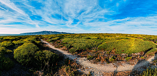 Aerial drone panoramic view of Sintra National Park, with Cabo da Roca in the far left background, next to Guincho Beach, Cascais, Portugal, Europe