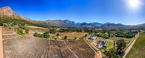 Trails through flowers and wildlife at Mont Rochelle Nature Reserve with views over Franschhoek Valley and Franschhoek, a town with centuries-old vineyards and Cape Dutch architecture, Franschhoek, Western Cape, South Africa, Africa