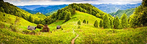 Rural landscape with traditional thatched roof wooden cottages in Dumesti, Apuseni mountains, Romania, Europe