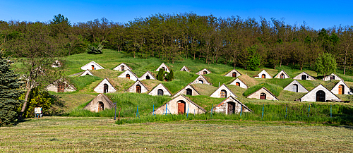 wine cellars in Tokaj region - Hercegkut Sarospatak Hungary