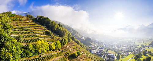 Aerial panoramic view of vineyards with village illuminated by sun in autumn, Berbenno, Valtellina, Lombardy, Italy, Europe