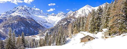 Winter landscape after snowfall with view of the group of Disgrazia, Chiareggio, Valmalenco, Valtellina, Lombardy, Italy, Europe