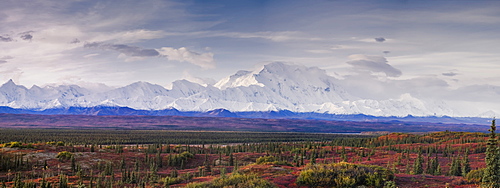 Panoramic landscape of the Denali Mountain (Mount McKinley), Denali National Park, Alaska, United States of america, North America