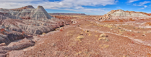 The remains of an old road in the Jasper Forest Petrified Forest National Park, built in the 1930s but then abandoned in the 1940s, Arizona, United States of America, North America