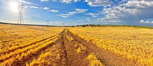 Narrow road, Fire Road 182, and grassy prairie in Prescott National Forest near Drake, Arizona, United States of America, North America