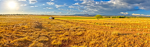 Pickup truck on Fire Road 182 exploring prairie grassland near Drake in the Prescott National Forest, Arizona, United States of America, North America