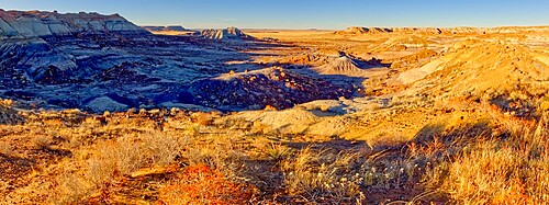 Panorama of the First Forest in Petrified Forest National Park, Arizona, United States of America, North America