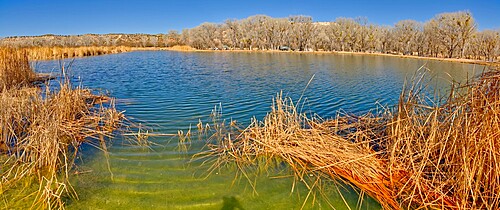 Middle Lagoon, one of three Lagoons at Dead Horse Ranch State Park, Arizona, United States of America, North America