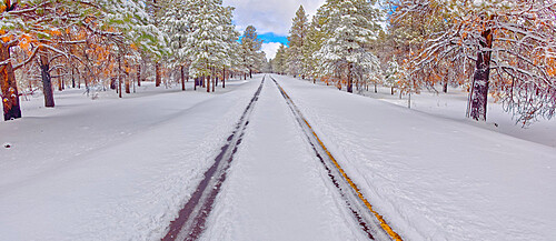 The road leading to Kaibab Lake in the Kaibab National Forest near Williams, Arizona, United States of America, North America