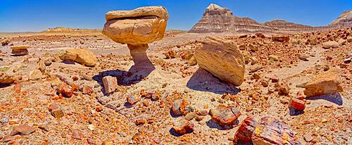 Balanced rock that resembles a toadstool, petrified wood scattered around the formation, Petrified Forest National Park, Arizona, United States of America, North America