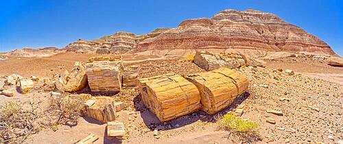 Large pieces of petrified wood on the west side of Red Basin in Petrified Forest National Park Arizona, United States of America, North America