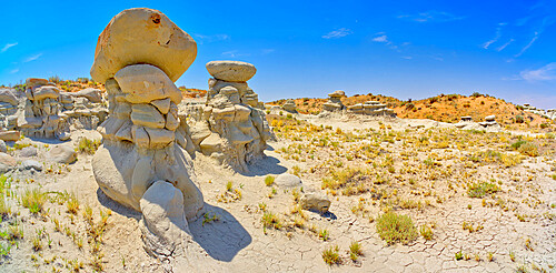 Field of hoodoos in Goblin Garden in the Flat Tops of Petrified Forest National Park, Arizona, United States of America, North America