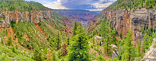 Bright Angel Canyon viewed from Coconino Overlook along North Kaibab Trail on Grand Canyon North Rim, Arizona, United States of America, North America