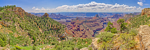 Panorama view of Grand Canyon from Widforss Point on the North Rim, UNESCO World Heritage Site, Arizona, United States of America, North America