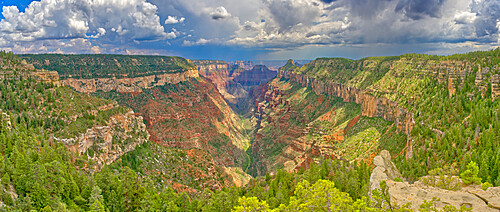 The head of the Transept Canyon at Grand Canyon North Rim along the Widforss Trail, UNESCO World Heritage Site, Arizona, United States of America, North America