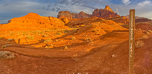 Sign marking the historic Honeymoon Trail in the 7 Mile Draw area of the Vermilion Cliffs National Monument, Arizona, United States of America, North America