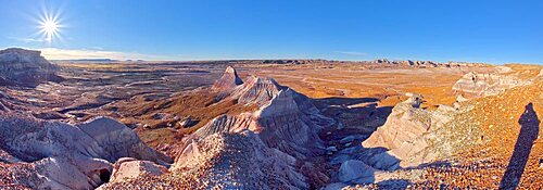 View of the Blue Forest plains from the lower part of Blue Mesa in Petrified Forest National Park Arizona.