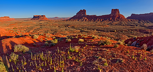 Valley of the Gods viewed from the south slope of the rock formation called Rudolph and Santa, northwest of Monument Valley and Mexican Hat, Utah, United States of America, North America