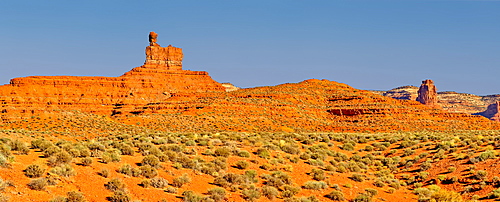 Rock formation in Valley of the Gods called Lady in the Bath Tub, Located near the town Mexican Hat, Utah, United States of America, North America