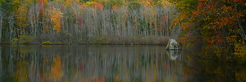 Fall foliage reflected in lake, Maine, New England, United States of America, North America