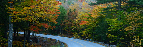 Road among trees with fall foilage, Maine, New England, United States of America, North America