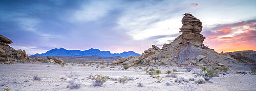 Desert sunset panorama with Chisos Mountains in the background, Big Bend National Park, Texas, United States of America, North America