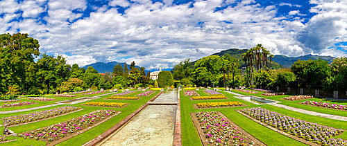 Botanical Gardens of Villa Taranto, Verbania, Lake Maggiore, Verbania Cusio Ossola district, Piedmont, Italian Lakes, Italy, Europe