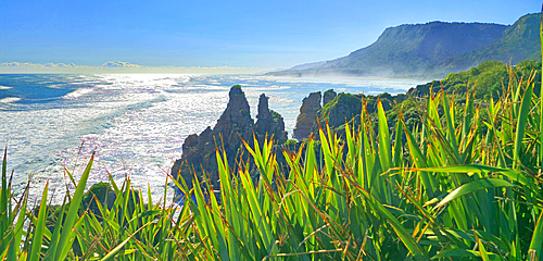Great Coast Road, West Coast, South Island, New Zealand