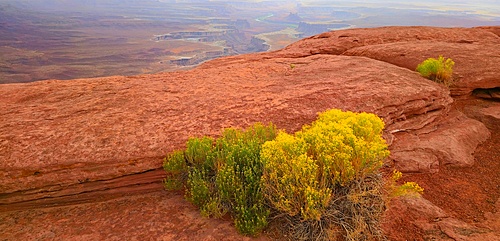 Canyonlands National Park, Utah, USA