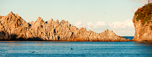 Sunset panoramic view of the white cliffs of Jodogahama, Miyako Bay, the sea of northern Honshu, Iwate prefecture, Japan, Asia