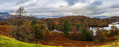 Autumn colours from Tarn Hows, Coniston, Lake District National Park, UNESCO World Heritage Site, Cumbria, England, United Kingdom, Europe