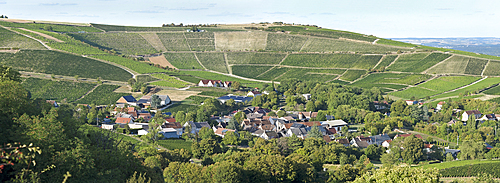 Cirque of Poussie, Vineyard around the village of Bue, Sancerrois natural region, Cher department, Historic province of Berry, Centre-Val de Loire region, France